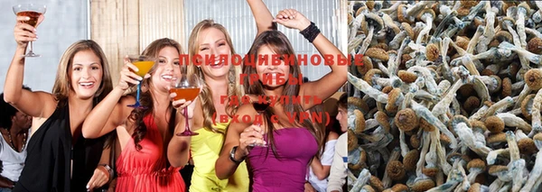 ALPHA-PVP Семёнов