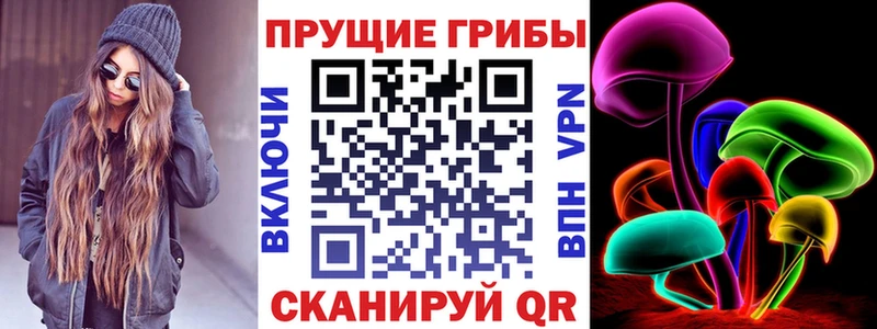 Купить где  Южноуральск  Псилоцибиновые грибы Magic Shrooms 